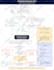 design infographics, flowcharts and diagrams editable in canva