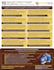 create a custom and professional infographic