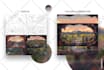 do landscape illustration and background concept art