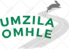 convert complex detailed image,logo to vector in 12 hour