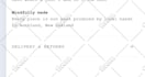 do shopify custom coding, shopify bug fix, liquid section, theme development