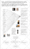 do professional roadmap, timeline,  infographic designs