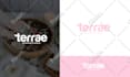 design a professional minimalist logo for your creative brand identity