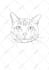 draw custom pet line art portrait for tattoo or print