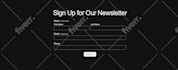 shopify ecommerce website development build shopify store design