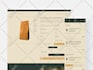 create professional website UX UI figma design