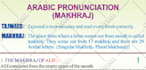 teach, translate, type and record arabic voice overs