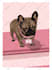 draw cartoon avatar from your photo