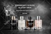 design showit website, showit redesign, showit template, customize showit,  seo
