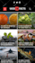 be your wordpress developer, build website design, migrate wordpress website
