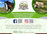 do 2 professionalsflyers and posters in 24 hours