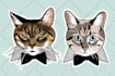 draw a pet portrait within 24h