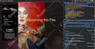 customize wordpress, edit theme, template, css, plugins