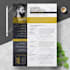 provide professional resume writing with ats optimization, cover letter and li