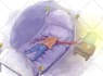 draw whimsical watercolor illustration for children book