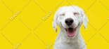 make your writing funnier, sharper, and more engaging