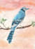 draw cute birds in watercolors
