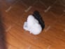 3d print and prepare files or 3d objects for 3d printing