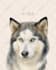 draw custom pet portrait, digital pet, pet drawing