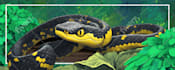design custom stream overlays for twitch and youtube
