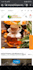 create affordable shopify website design for small businesses