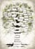 design personalized genealogy family tree poster