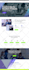 design and redesign responsive wordpress website, blog or website development