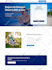 design your website in wordpress in spanish and english