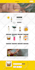 make wix  ecommerce website wix online store landing page