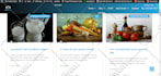 install or customize wordpress theme and blog website