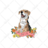 vector illustration dog cat animal pet cartoon portrait