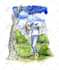 draw illustrations for childrens book