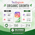 grow your instagram audience organically and strategically