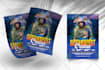 design the best event flyer, marketing flyer, and sell sheets