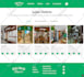 design modern responsive html landing page