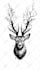 create your dark and gothic custom tattoo design and illustration