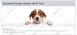 design kdp low content book, amazon kdp, low content book, amazon, kdp, journal