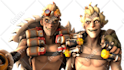 create a professional sfm poster for you