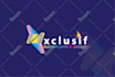 company custom logo design for you