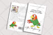 format resize edit fix book cover for amazon kdp ingramspark lulu