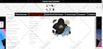 copy clone duplicate shopify store, clone shopify website