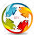 do youtube video seo by tubebuddy