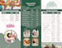 create an attractive bifold or trifold brochure design
