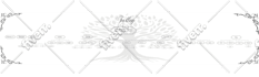 design an amazing family tree