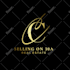 manually vector trace logo, edit, vectorize, redesign, recreate design
