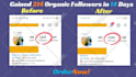 do fast organic instagram growth