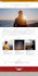 expert HTML to wordpress and PHP to wp conversion