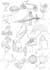 turn your photo into minimalist line art portrait illustration