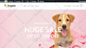 design ecommerce website online store or dropshipping