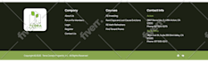 design a responsive wordpress website for your business